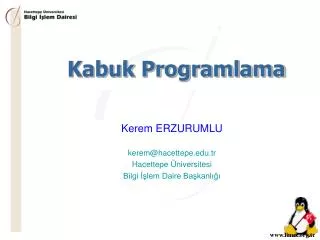 kabuk programlama