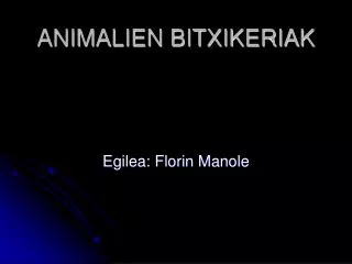 animalien bitxikeriak
