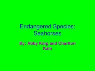 Endangered Species: Seahorses