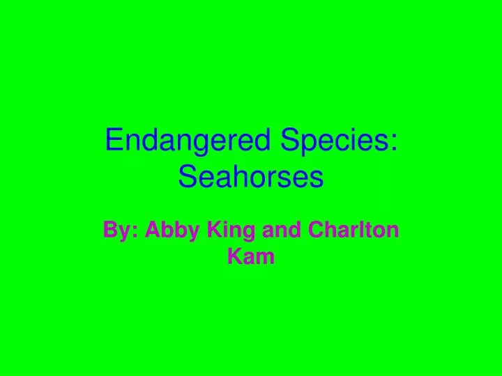 endangered species seahorses