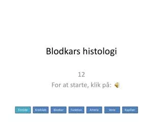 blodkars histologi