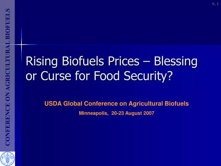 rising biofuels prices blessing or curse for food security