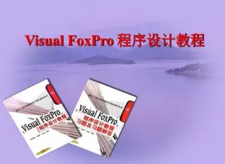 visual foxpro