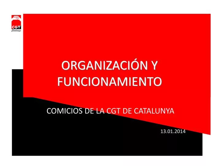 organizaci n y funcionamiento