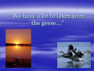 “We have a lot to learn from the geese…”