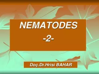 NEMATODES -2-