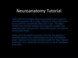 neuroanatomy tutorial