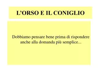 l orso e il coniglio