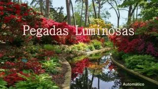 pegadas luminosas