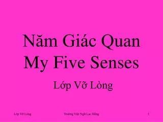 n m gi c quan my five senses