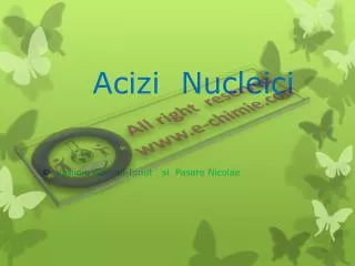 acizi nucleici