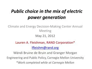 Public choice in the mix of electric power generation