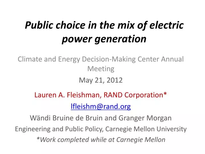public choice in the mix of electric power generation