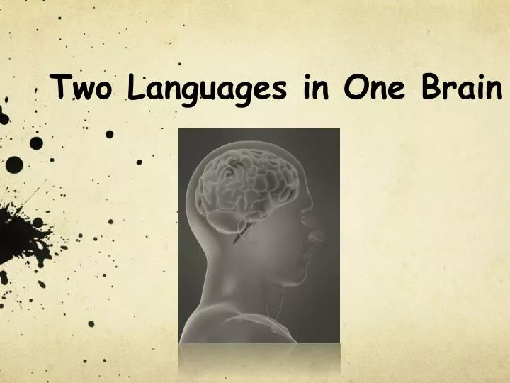 two languages in one brain