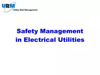 Safety Management in Electrical Utilities