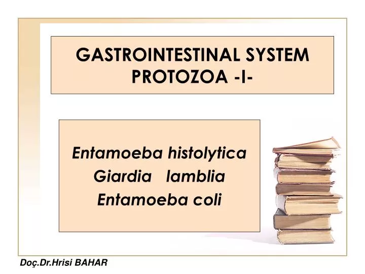 gastrointestinal system protozoa i