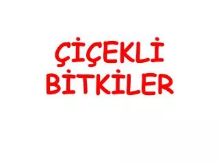 ekl b tk ler