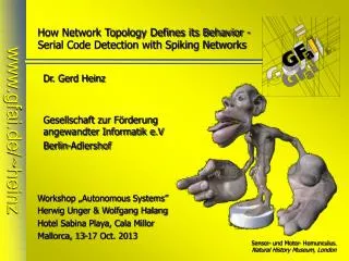 How Network Topology Defines its Behavior - Serial Code Detection with Spiking Networks