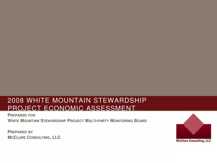 2008 white mountain stewardship project economic assessment