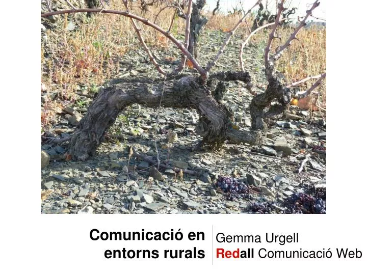 comunicaci en entorns rurals