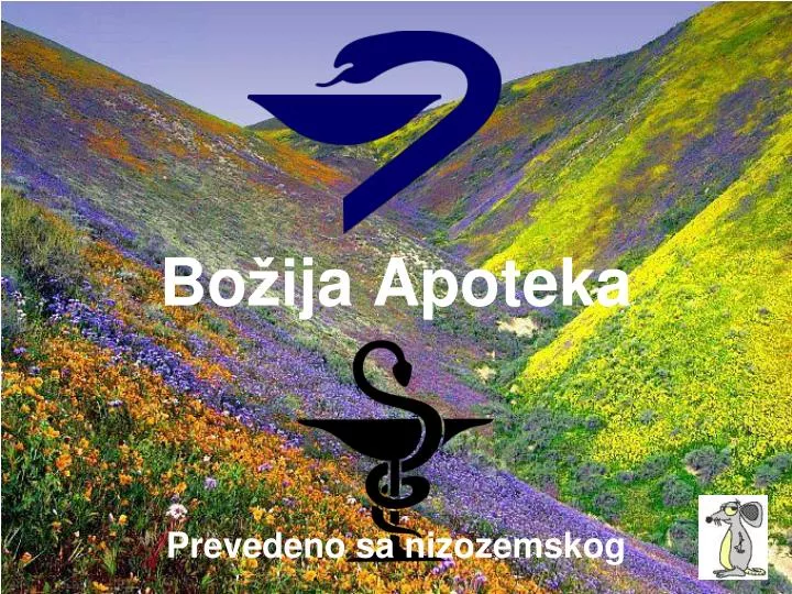 bo i ja apoteka