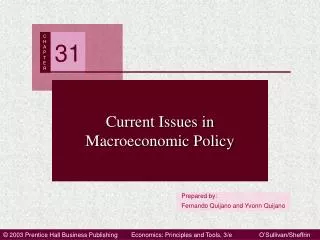 Current Issues in Macroeconomic Policy