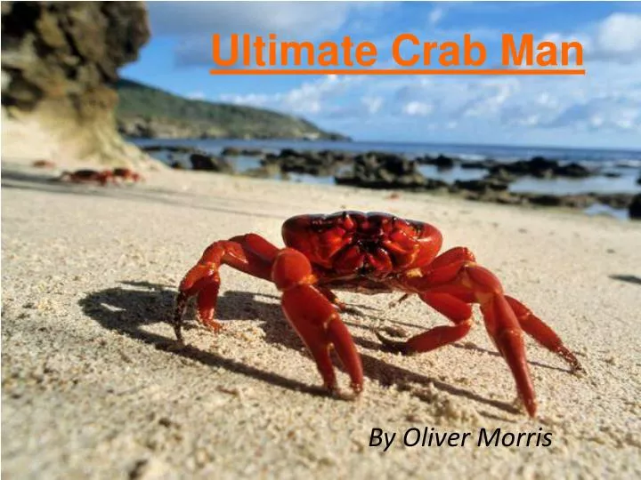 ultimate crab man