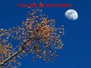 colcha de retalhos