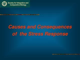 Causes and Consequences of the Stress Response