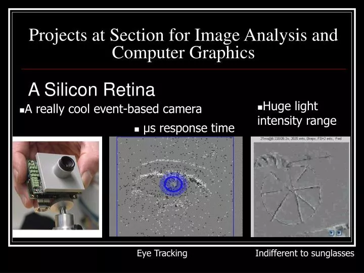projects at section for image analysis and computer graphics