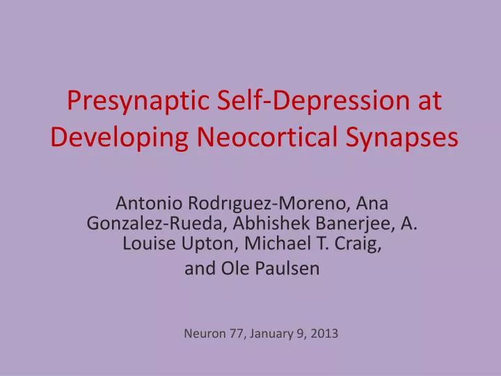 presynaptic self depression at developing neocortical synapses