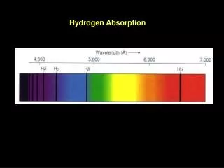 Hydrogen Absorption