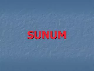 sunum