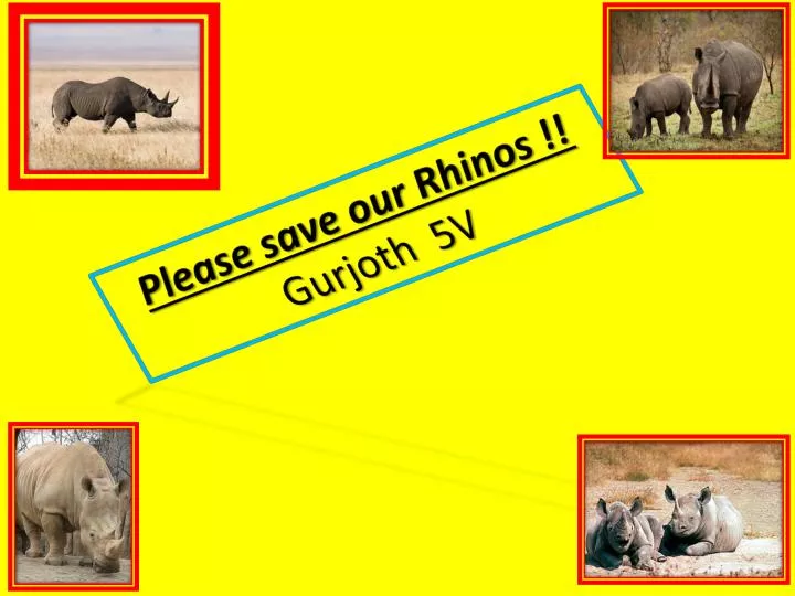 please save our rhinos gurjoth 5v