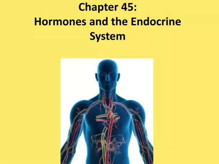 chapter 45 hormones and the endocrine system