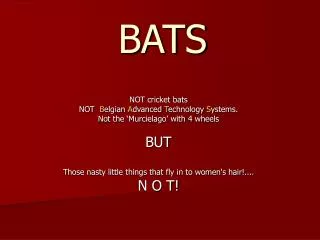 BATS