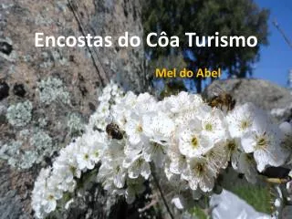 encostas do c a turismo