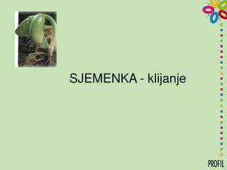 sjemenka klijanje