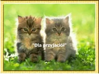 dla przyjaci