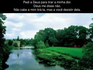 pedi a deus para tirar a minha dor deus me disse n o n o cabe a mim tir la mas a voc desistir dela