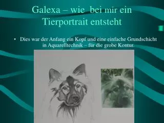 galexa wie bei mir ein tierportrait entsteht