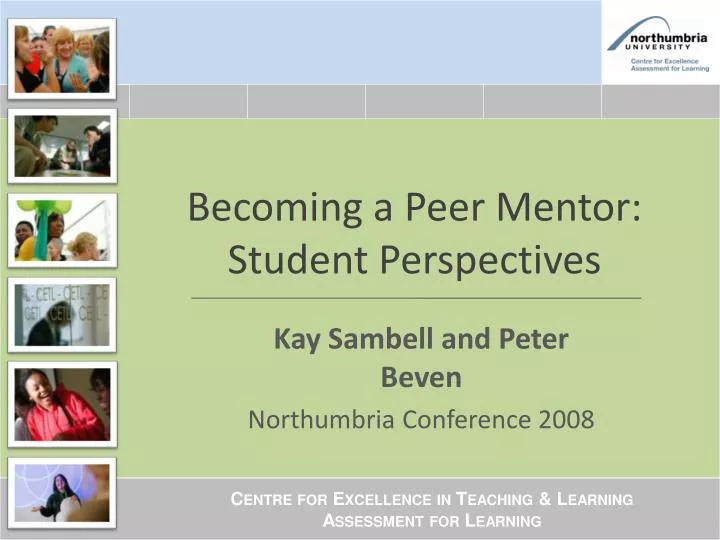 becoming a peer mentor student perspectives