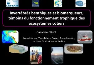 invert br s benthiques et biomarqueurs t moins du fonctionnement trophique des cosyst mes c tiers