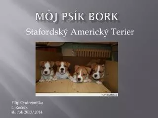 m j ps k bork