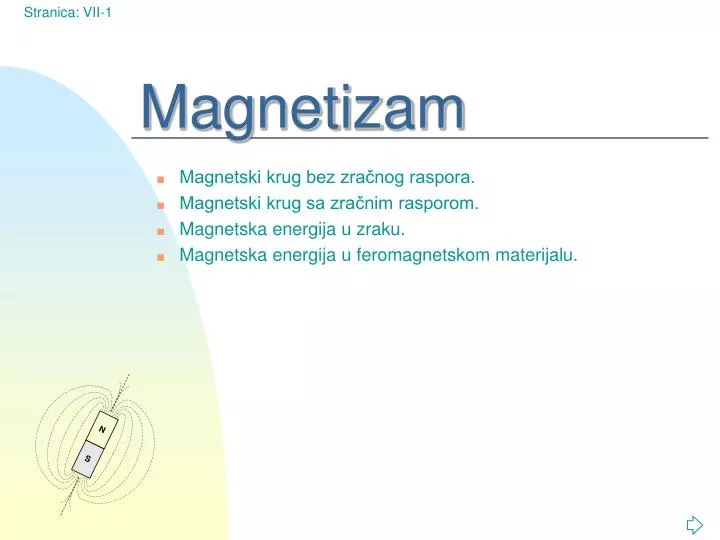 magnetizam