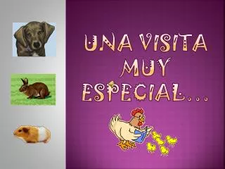 una visita muy especial
