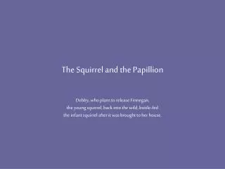 The Squirrel and the Papillion