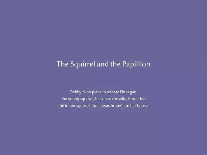 the squirrel and the papillion