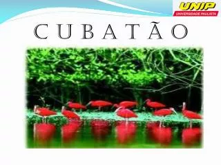 c u b a t o