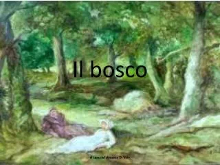 il bosco
